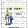 Bio Cool 1 - Blut und Blutkreislauf