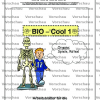 Bio Cool 1 - Organe: Spiele, Rätsel