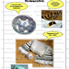 Religion - Wissen fürs Leben - Judentum und Antisemitismus